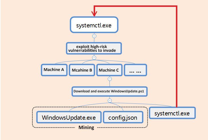 The infection process