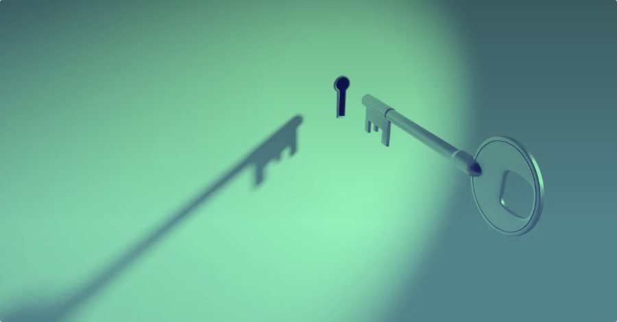 Decred aims to be a “more effective” privacy coin than Monero or Zcash