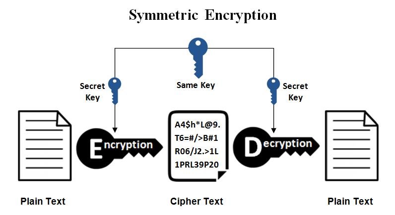 Network Security Using Cryptography: Everything you need to know