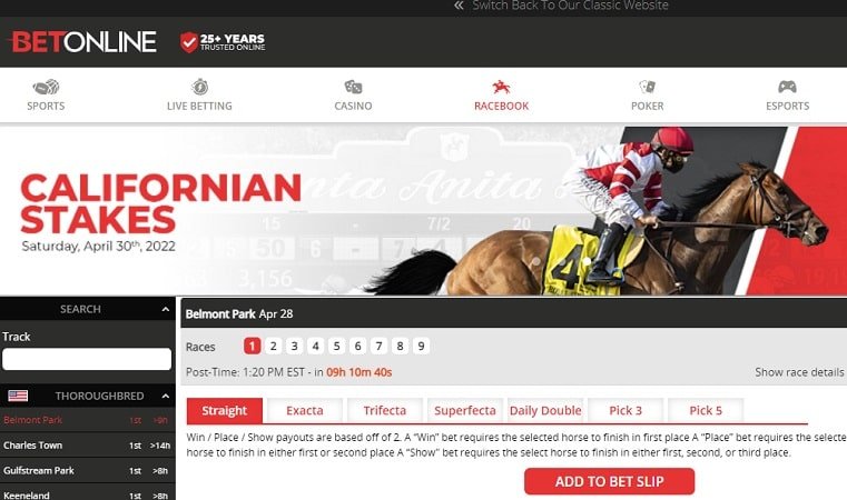 These Are The Best Crypto Horse Racing Betting Sites For 2022