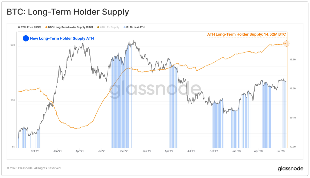 Bitcoin's Summer Standstill: Will the Cryptocurrency Market Ignite or Plunge?