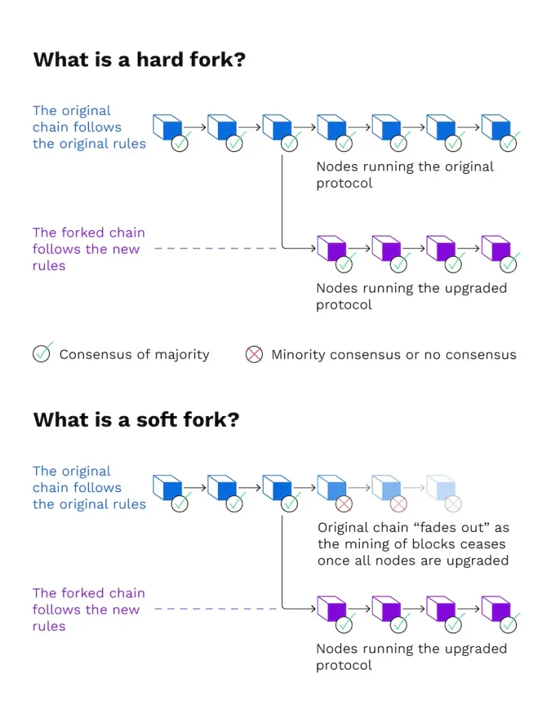 How do Hard and Soft Forks work?