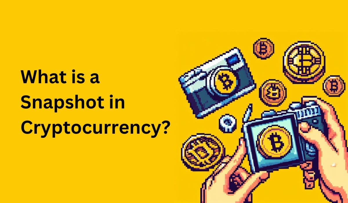 What is Snapshot in Cryptocurrency?