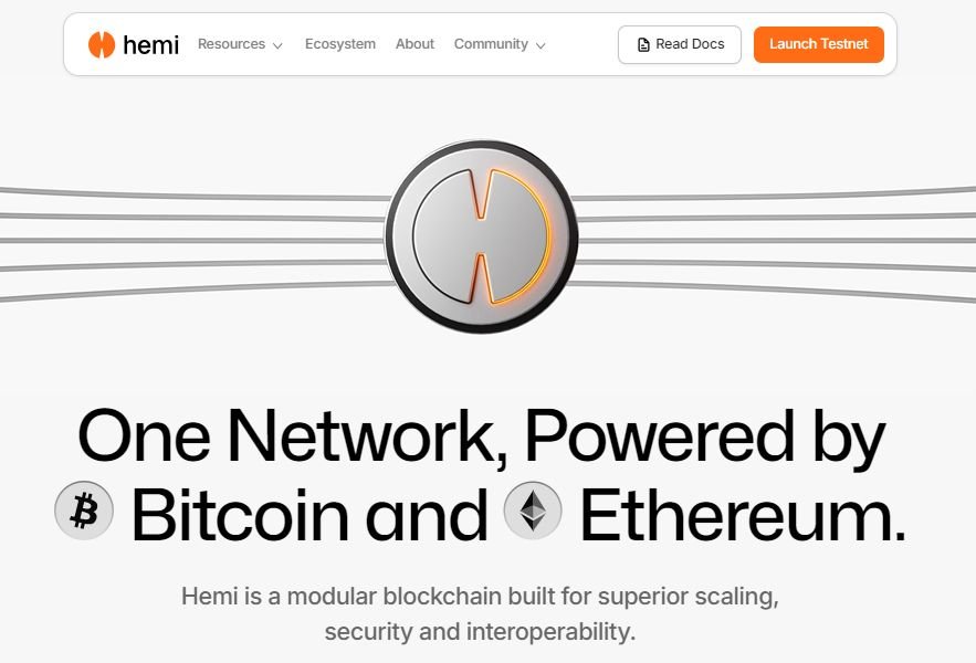 Hemi Network homepage