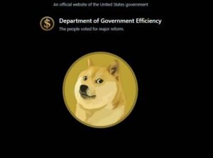 The official website of the Department of Government Efficiency, doge.gov