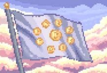 The Rise of Cryptocurrency in the EU: 42 Key Statistics You Should Know European Union Flag With Cryptocurrencies Pixelated