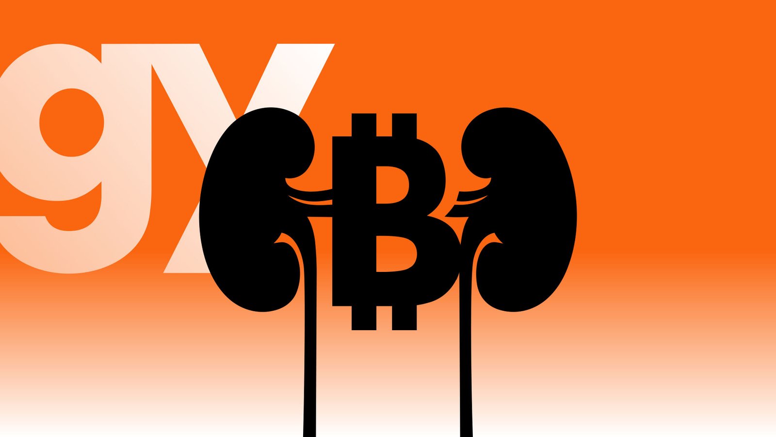 Saylor’s "Sell a Kidney" Bitcoin Advice Costs Billions