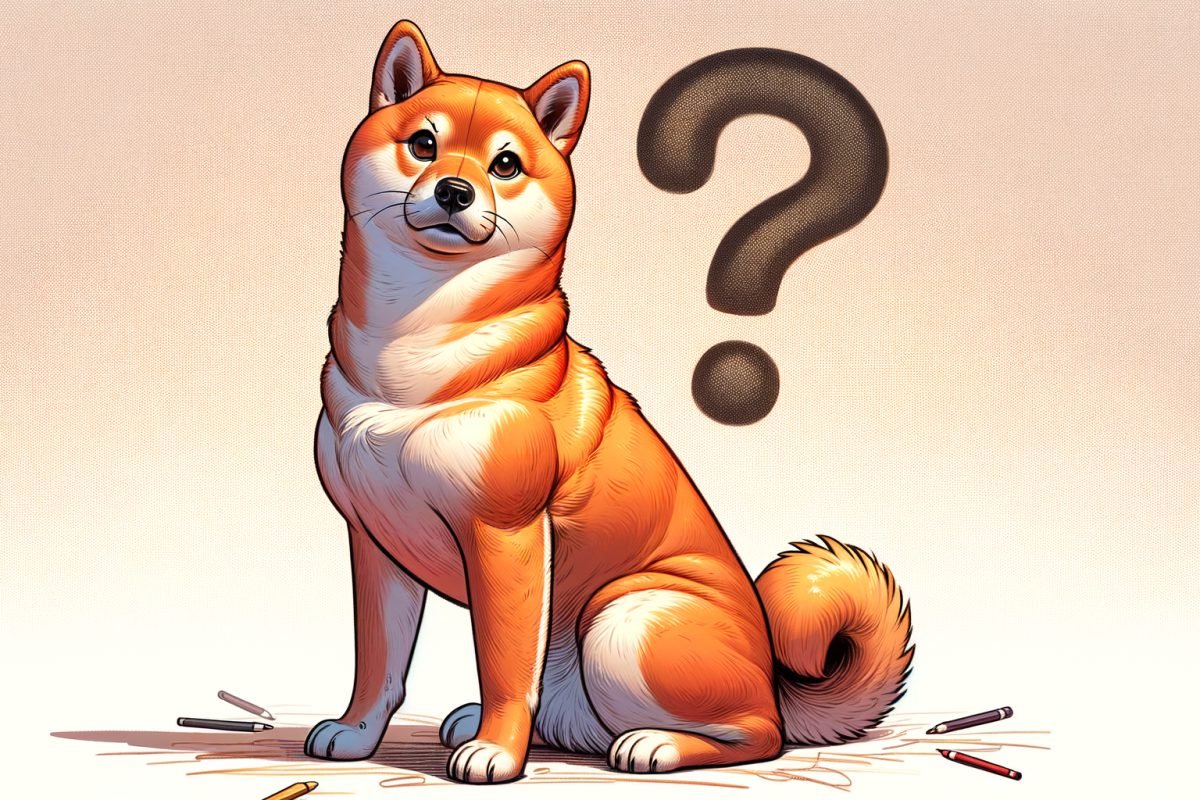 The Secret Behind Shiba Inu's Meteoric 2021 Rise