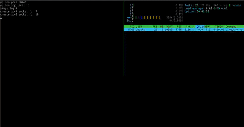 XRING bug lets attackers crash XQUIC servers with legal traffic