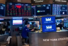 Stocks Rise as Cooling Oil and Yields Lift Sentiment Before Nvidia Earnings Stocks Rise as Cooling Oil and Yields Lift Sentiment Before Nvidia Earnings